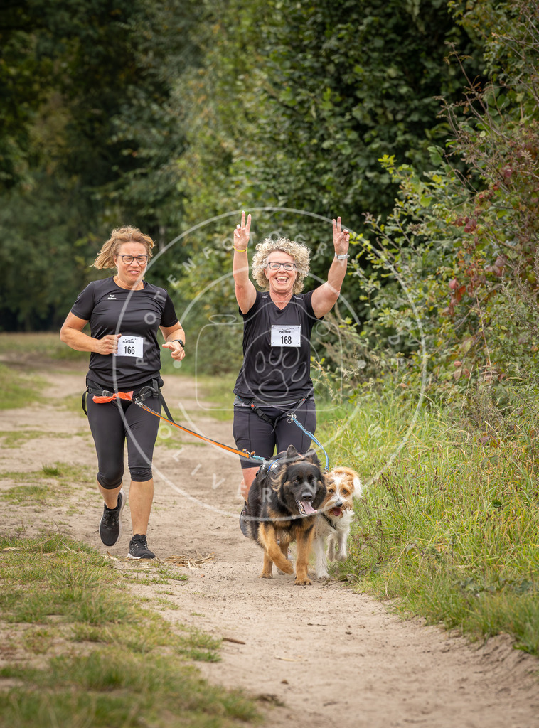 Pfotenfotografie_DV3A7256 | Hundefotografie, Tierfotograf, Pfotenfotografie, Fotoshooting Hund, Hunde Portrait, Hundesport, Hundeportraits, Heideshooting, Hunde, Sportfotograf, Hundefotograf, Turnierhundsport, THS,  - Realisiert mit Pictrs.com