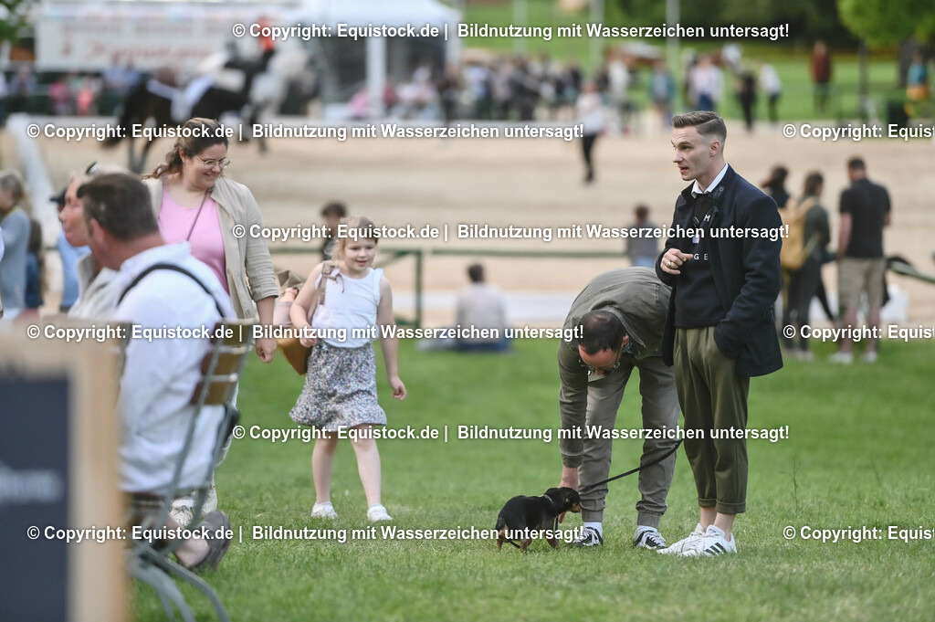 D78_3368 | equistock