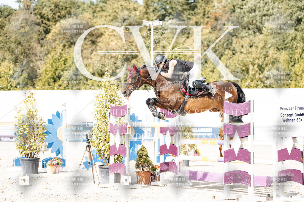 CK905308 | Turnierfotografie Pferdefotografie Trier Rheinland-Pfalz Pferdesport Reitsport Tierfotografie Sportfotografie Pferdevideo Pferdevideografie Equestrianvideography equestrianphotography  - Realisiert mit Pictrs.com