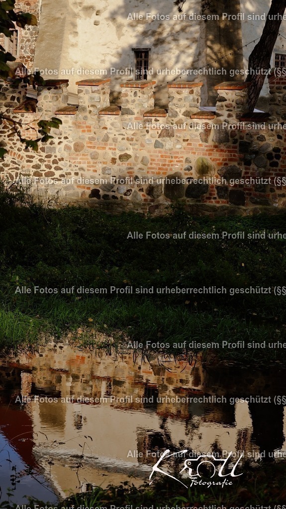 Photo_1727203766852 | krollfotografie - Realisiert mit Pictrs.com