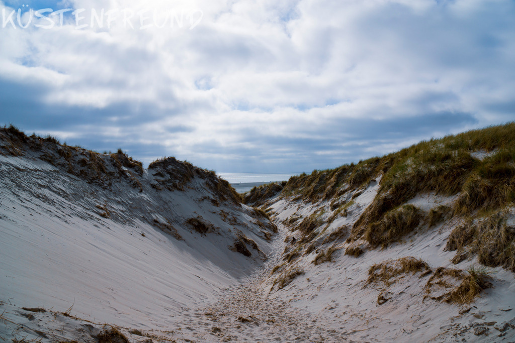 Amrum Dünen // Blick über Dünental - Nordsee im Hintergrund | Entdecke deine Lieblingslandschaft von der Küste – auf Ostsee Leinwand, Nordsee Leinwand, Alu Dibond oder Acrylglas, passend für jeden Geschmack und Raum.
