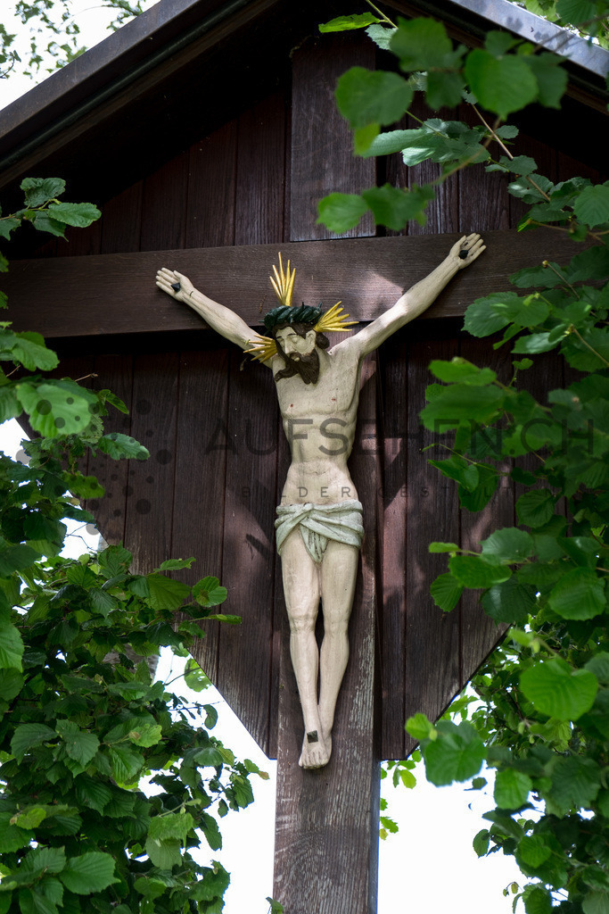 20180531_113711_GGF_5183 | Fotodownload für Pfarreien, Kirchgemeinden und Non-Profit-Organisationen. - Realisiert mit Pictrs.com