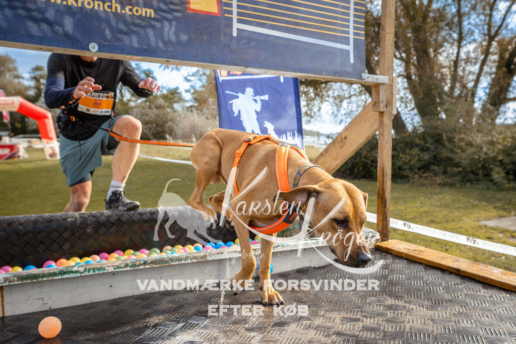 1416_ZZ94105-2 | kk-dogfotos