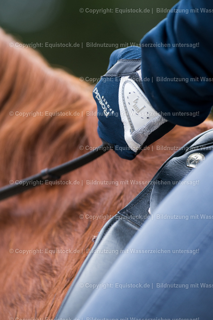 20160328_Handschuh_0001 | equistock