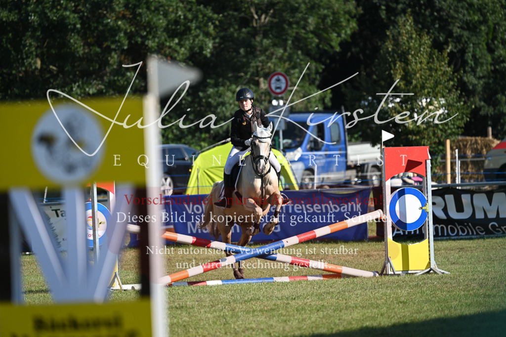 DSC_5031 | Pferde- und Turnierfotografie in Westsachsen. Pferdeportraits, Auftragszeichnungen und intuitive Kunst.