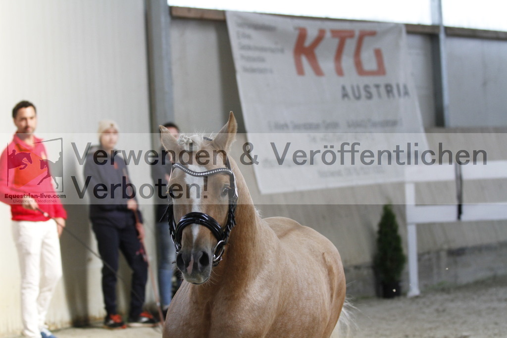 _MG_9762 | equestrian-live-com