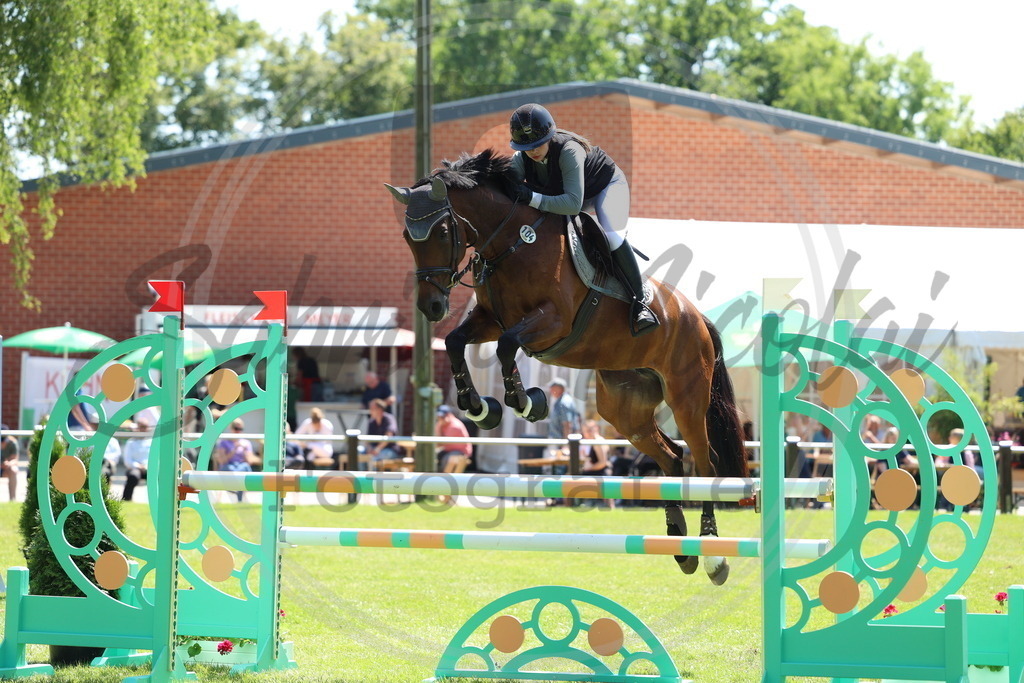 994A2842 | sabrinanicolaifotografie - Realisiert mit Pictrs.com