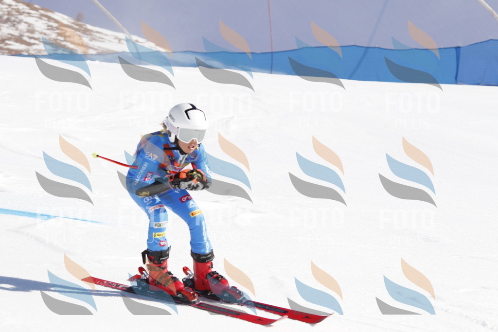 _U3G8638 | holidayphoto