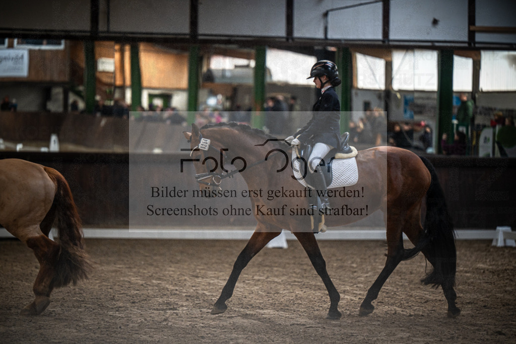 DOS_0326 | Entdecke hochwertige Reitturnierfotos von Foto Oger. Professionell, emotional und authentisch – jetzt Lieblingsmomente im Shop bestellen.Deutschlandweite Turnierfotografie. - Realisiert mit Pictrs.com