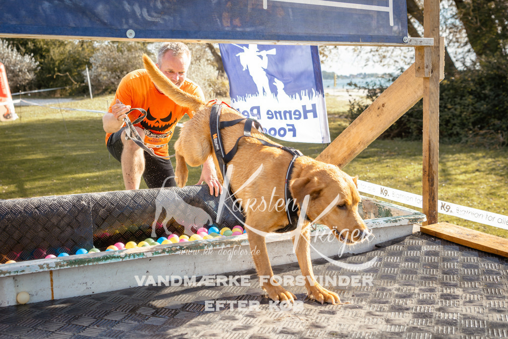 1430_ZZ94631-2 | kk-dogfotos