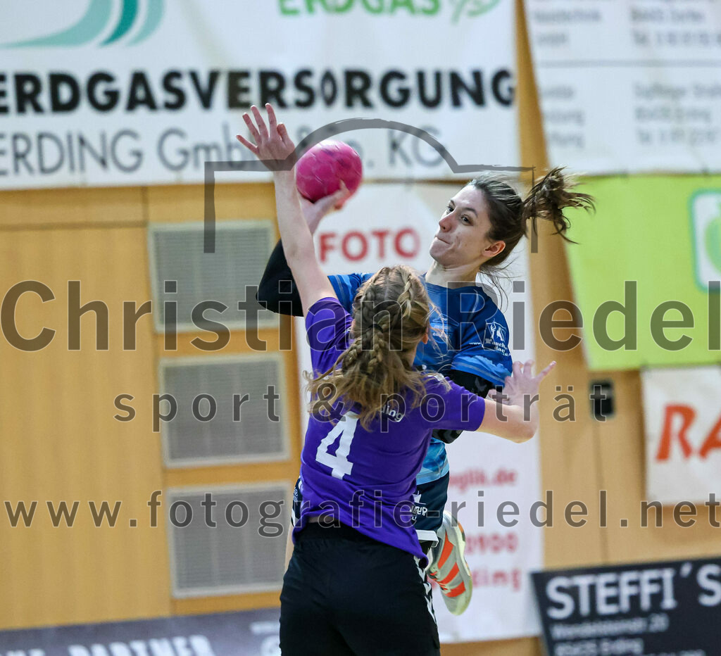2023-01-21_005_SpVgg_Altenerding_gegen_TSV_Karlsfeld | Erding, Deutschland, 21.01.2023:
Handball, Bezirksoberliga Frauen Altbayern 2022 / 2023, 8. Spieltag, SpVgg Altenerding gegen TSV Karlsfeld, Endergebnis: 28:24

Johanna Bauschmid (SpVgg Altenerding, #4)

Foto: Christian Riedel / fotografie-riedel.net