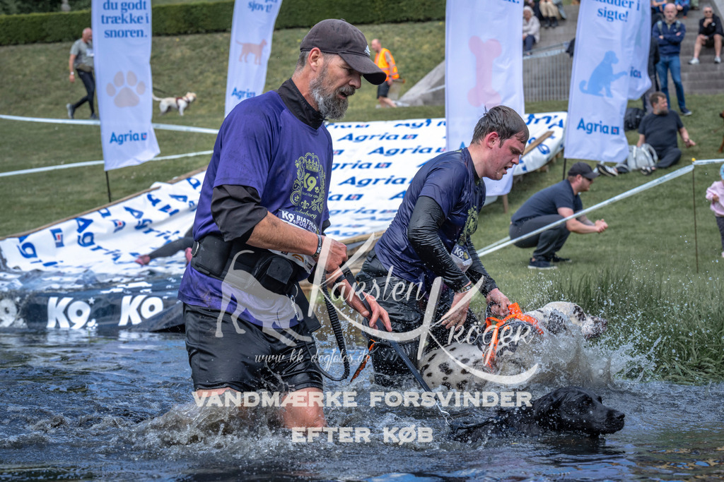 1107_ZZ91120 | kk-dogfotos