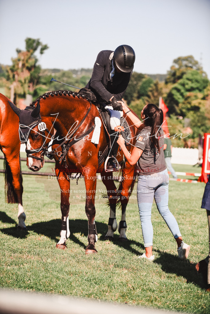 DSC_2304 | Pferde- und Turnierfotografie in Westsachsen. Pferdeportraits, Auftragszeichnungen und intuitive Kunst.