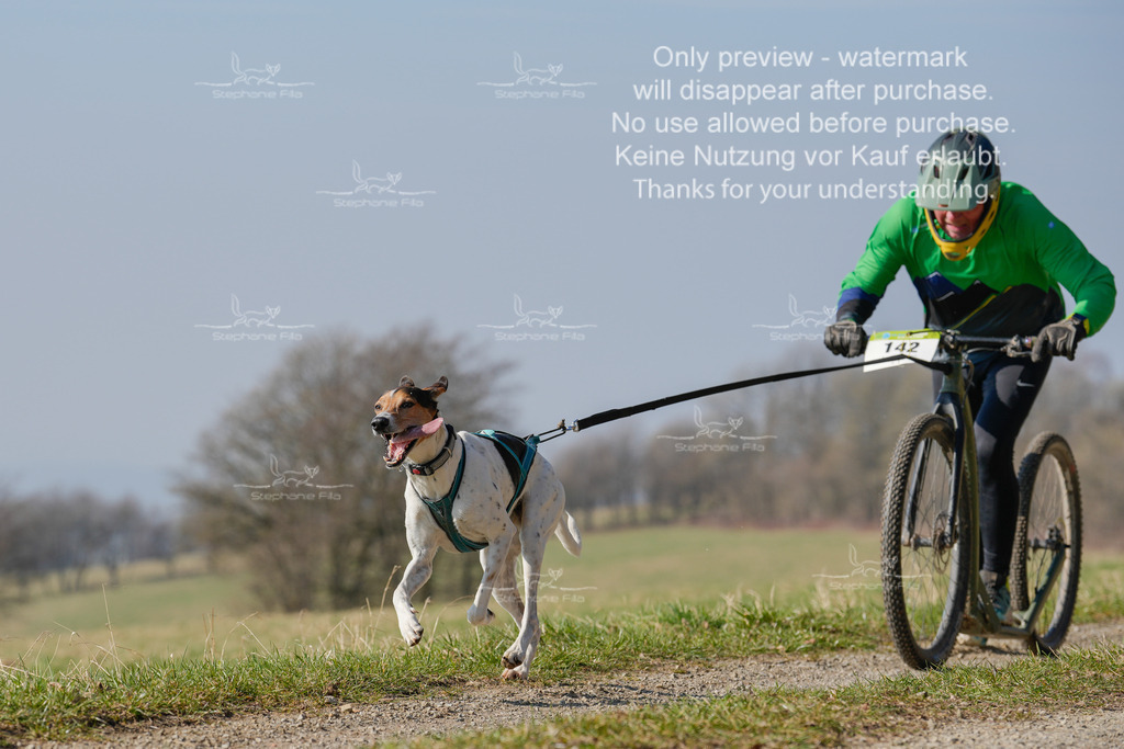 Scooter_Lang-10 | stephaniefillaphotographie - Realisiert mit Pictrs.com