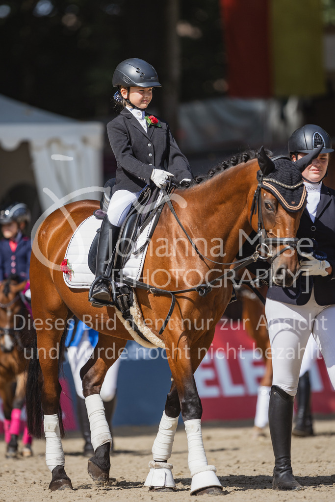 230910_OWLCh_Führzügel-114 | Deine schönsten Turniermomente als professionelle Fotos! Entdecke hochwertige Pferdesport-Fotografie im Online-Shop. Jetzt Fotos finden & bestellen!