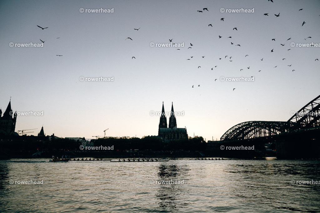 20250830_rowerhead_Stadtachter_S0684_DSC03454 | rowerhead - Realisiert mit Pictrs.com