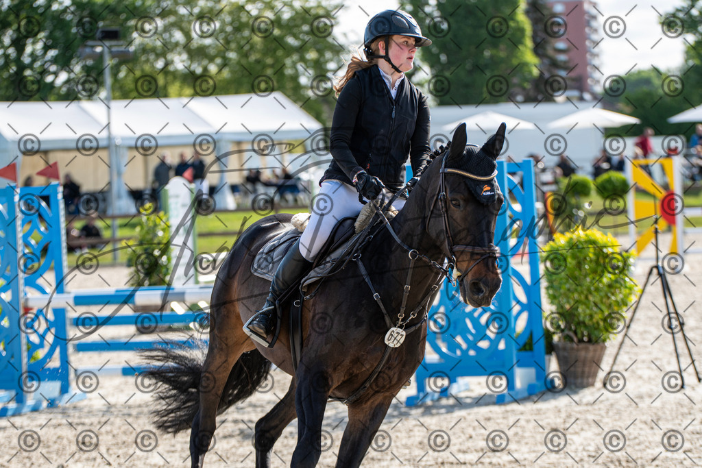 KPT_4561 | andre_photographic