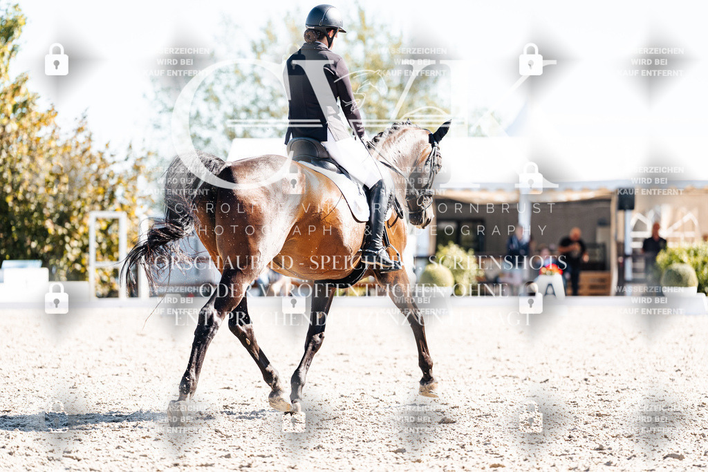 CK908715 | Turnierfotografie Pferdefotografie Trier Rheinland-Pfalz Pferdesport Reitsport Tierfotografie Sportfotografie Pferdevideo Pferdevideografie Equestrianvideography equestrianphotography  - Realisiert mit Pictrs.com