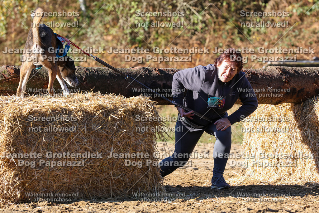 Dog Paparazzi - Strongdog 10-25-1852 | Dog Paparazzi Jeanette Grottendiek Fotografie & Videografie - Realisiert mit Pictrs.com