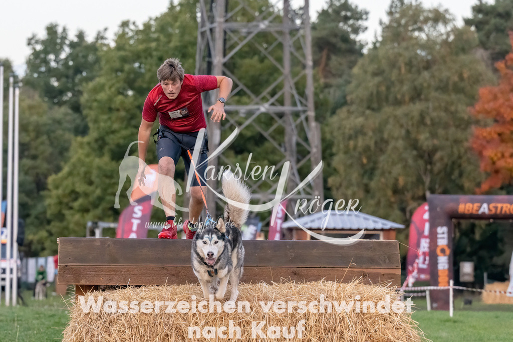 0802_ZZ93931-Bearbeitet | kk-dogfotos