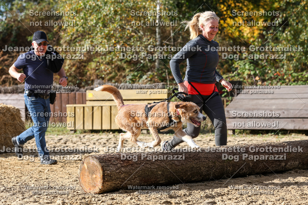 Dog Paparazzi - Strongdog 10-25-5636 | Dog Paparazzi Jeanette Grottendiek Fotografie & Videografie - Realisiert mit Pictrs.com