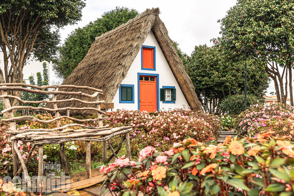 PS-Madeira-2026-08 | Entdecke die größte Bildgalerie der Region mit Fotografien aus dem Allgäu, der Bodenseeregion, Oberschwaben, dem Donautal und der Schwäbischen Alb. Landschaften, Luftaufnahmen und Reisefotografie als Wandbild und Fotokunst. - Realisiert mit Pictrs.com
