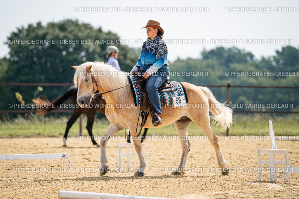 DSC09964 | Pferdegrafie