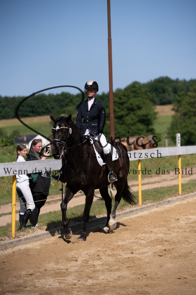 A7V07785 | Pferdefotograf