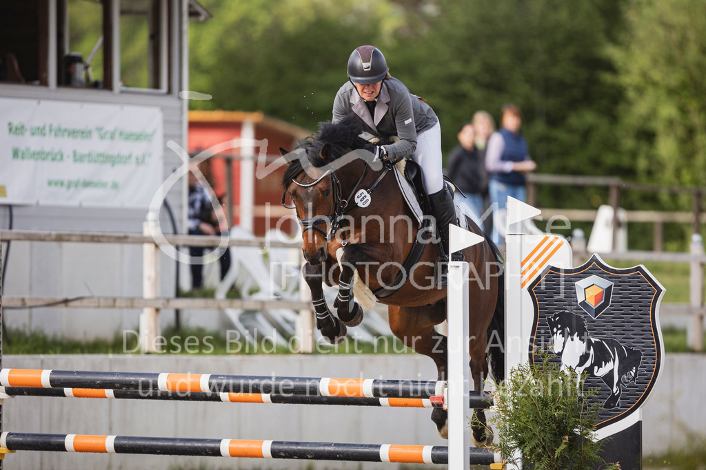 250503_SpengeW_A2-Spr-613 | Deine schönsten Turniermomente als professionelle Fotos! Entdecke hochwertige Pferdesport-Fotografie im Online-Shop. Jetzt Fotos finden & bestellen!