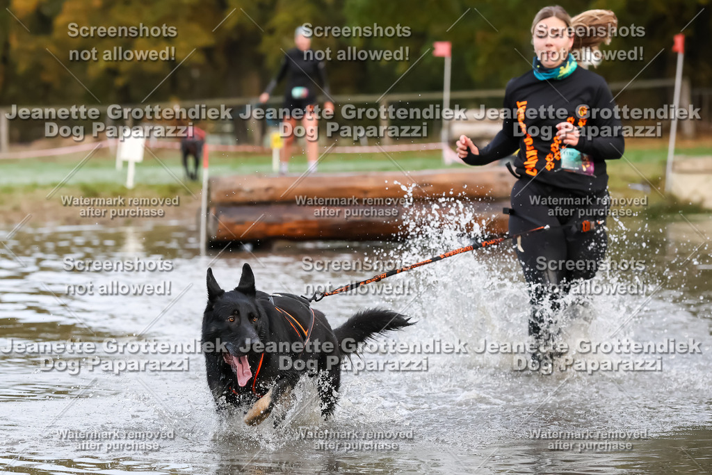 Dog Paparazzi - Strongdog 10-25-6276 | Dog Paparazzi Jeanette Grottendiek Fotografie & Videografie - Realisiert mit Pictrs.com