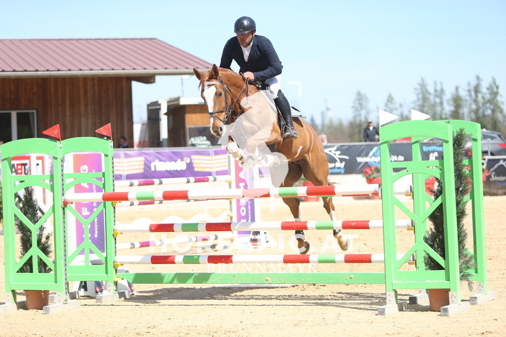 DL2Q5104 | Willkommen bei Brunnmayr - Design & Fotografie – Ihrem Spezialisten für Reitturniere und Pferdeveranstaltungen in Oberösterreich, Salzburg und Bayern! Seit über 17 Jahren sind wir leidenschaftlich dabei.