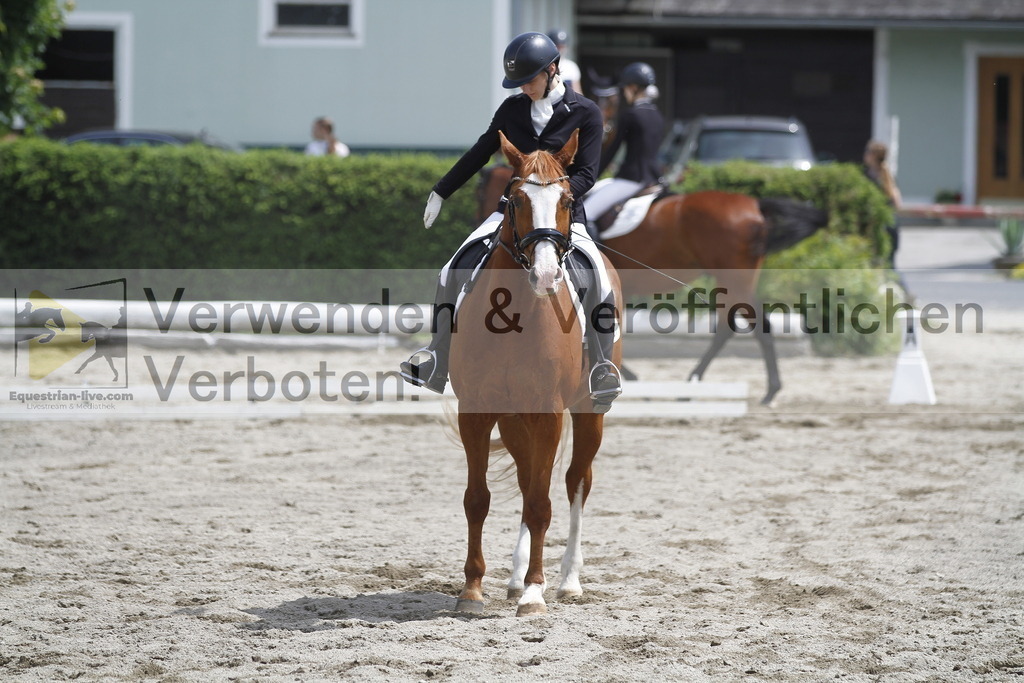 _MG_8655 | equestrian-live-com