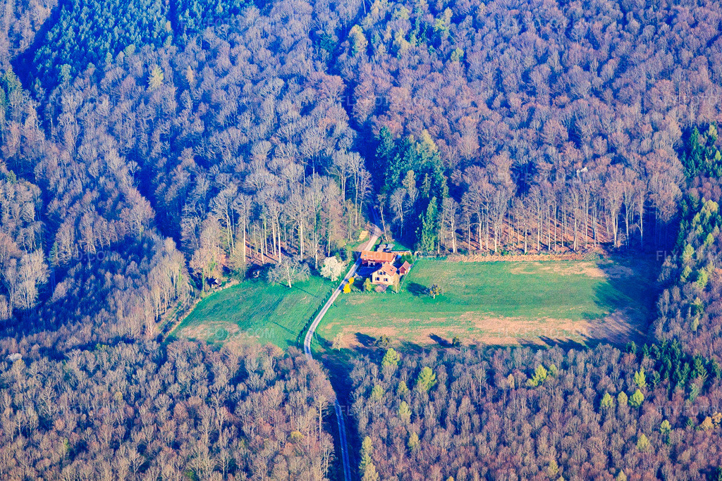 Aerial view: House in a forest clearing on Rue de la Nonnenhardt in Langensoultzbach in the state Bas-Rhin, France. – Photo: IMG_63691.jpg taken on 03/30/2014 by Werner Riehm/FLY-FOTO.com – Resolution of the original: 4529 x 3019 px