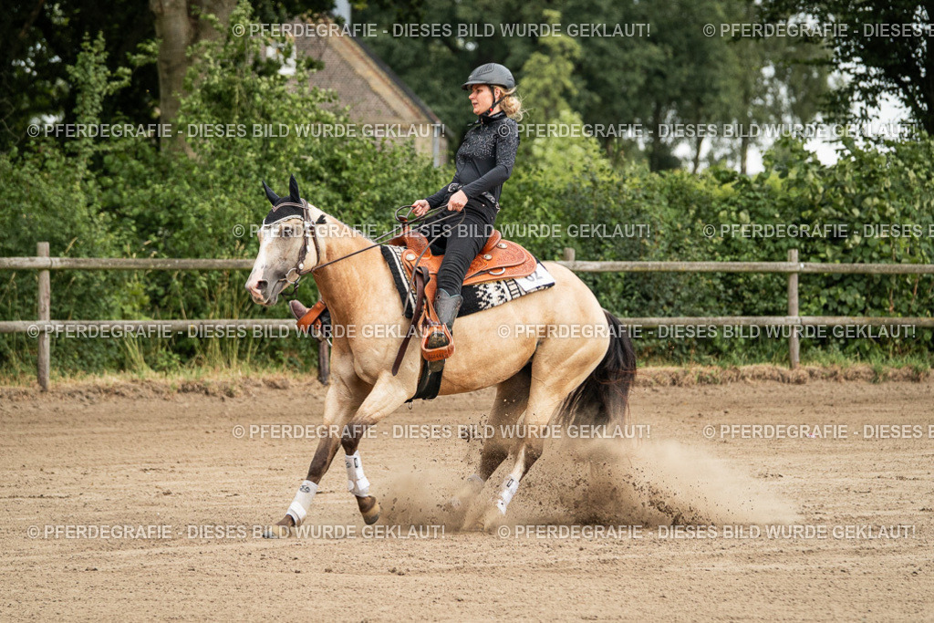 DSC04775 | Pferdegrafie