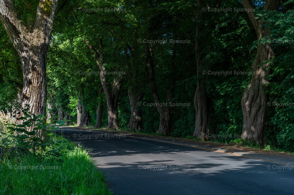 CAR_TE_Country_Road24 | sparepix - Realisiert mit Pictrs.com