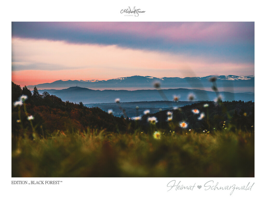 Edition "BLACK FOREST" | Motiv: Blick zu den Vogesen, Schwarzwald. Die beliebtesten Fotografien aus dem Schwarzwald als signierte Sonderedition. Eine exklusive Wanddekoration für alle Liebhaber von traumhaften Schwarzwaldlandschaften. Hochwertige Wandbilder in brillanter Druckqualität auf Acrylglas, Alu-Dibond und Leinwand für Ihr Zuhause – inklusive rückseitige Aufhängung.
 - Realisiert mit Pictrs.com