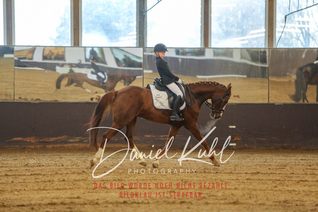 IMG_8182 | Turniersportfotografie; Pferdefotografie; Dressurfotografie