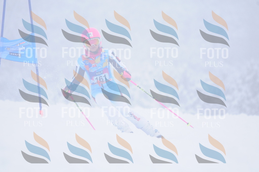 C1901 | holidayphoto