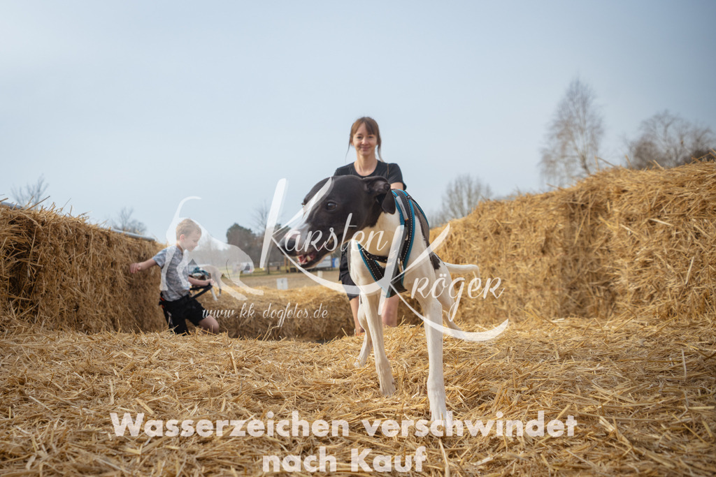 1016_ZZ93376 | kk-dogfotos