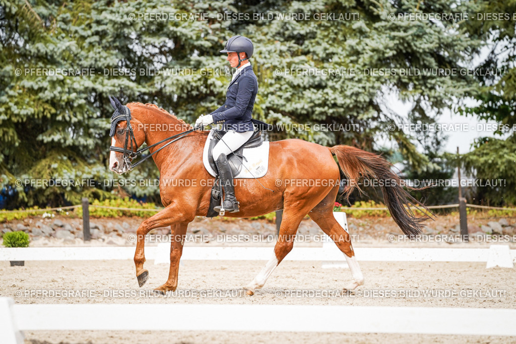 DSC06967 | Pferdegrafie