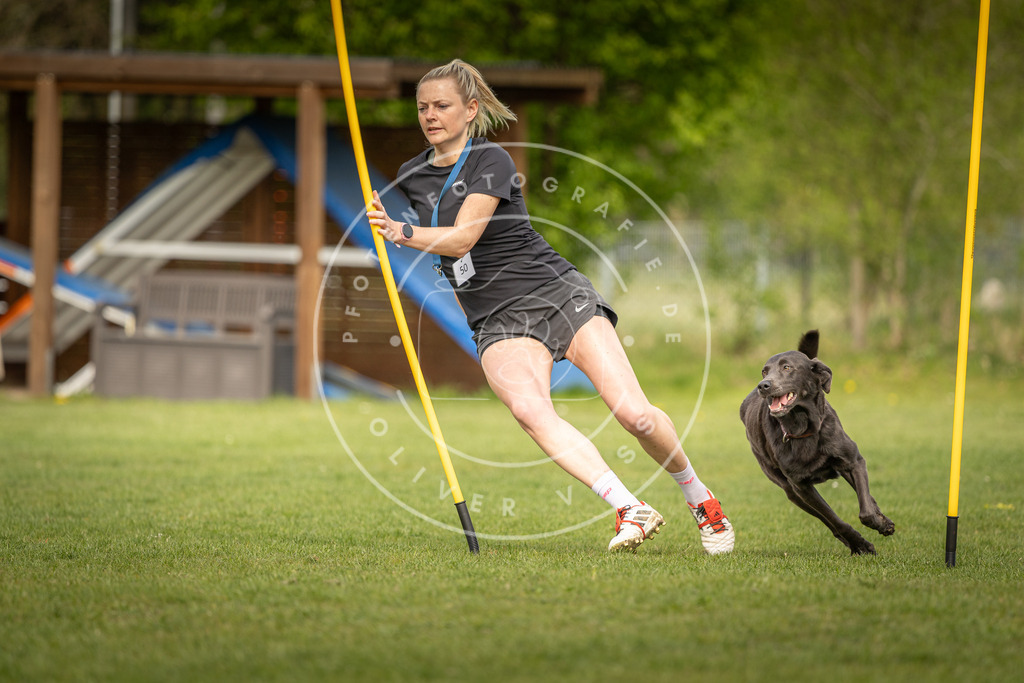 Pfotenfotografie_DV3A5364 | Hundefotografie, Tierfotograf, Pfotenfotografie, Fotoshooting Hund, Hunde Portrait, Hundesport, Hundeportraits, Heideshooting, Hunde, Sportfotograf, Hundefotograf, Turnierhundsport, THS,  - Realisiert mit Pictrs.com