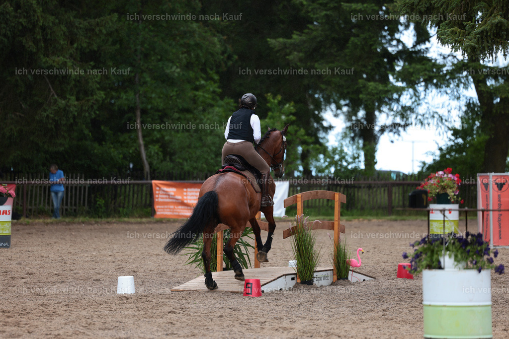 KlasseL_Stoibphotography_CAM23747.JPG | working equitationturnier fotograf videograf stoibphotography marixx film working equitation deutschland reitsport turnierfotografie eventfotografie equestrian events