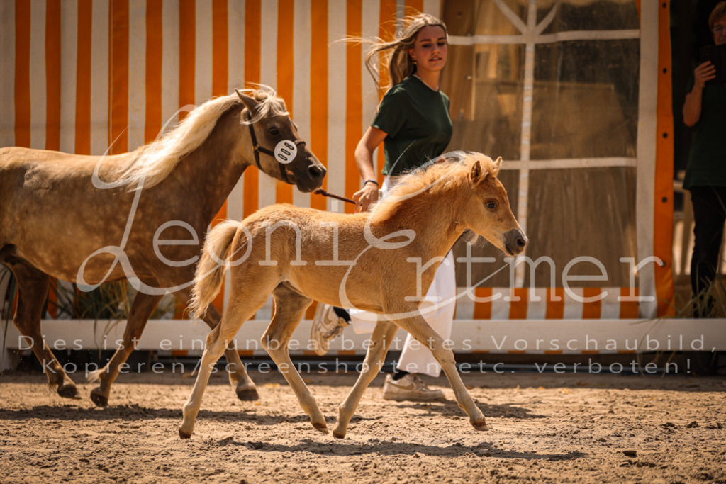 02.DoSR00047 | Leoni Ertmer Photography - Realisiert mit Pictrs.com