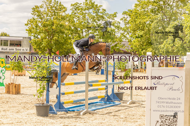 26-7-23 SPR A++-325 | mandyhollmannphotographie