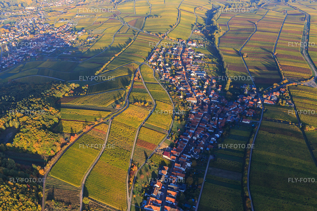 Winzerdorf am Haardtrand in Herbstfarben aus Westen | Luftbild: Winzerdorf am Haardtrand in Herbstfarben aus Westen in Ranschbach im Bundesland Rheinland-Pfalz in Deutschland. Foto: IMG_095709.jpg vom 30.10.2016 durch Werner Riehm/FLY-FOTO.de - Realisiert mit Pictrs.com
