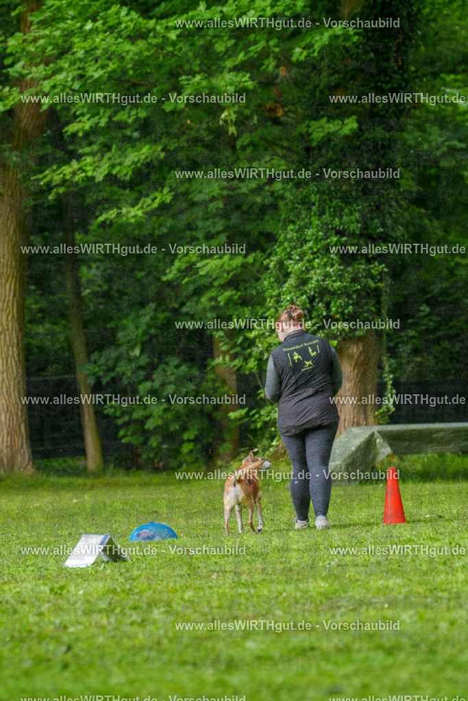 @allesWIRTHgut_Tierfotografie - www.allesWIRTHgut.de - 7R502021 | Professionelle Tierfotografie in Mönchengladbach von Daniel Wirth (allesWIRTHgut). Liebevolle & natürliche Bilder von Hunden & Katzen für unvergessliche Erinnerungen.