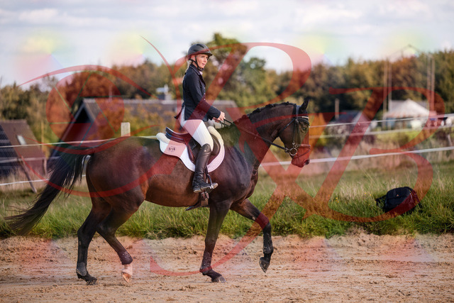 2026_10_03_Siefer-Hof_144003_Z81_10763153 | Professionelle Reitsport-, Turnier- und Eventfotografie von Robert Broda. Galerien mit ausgewählten und bearbeiteten Bildern direkt online ansehen und bestellen.