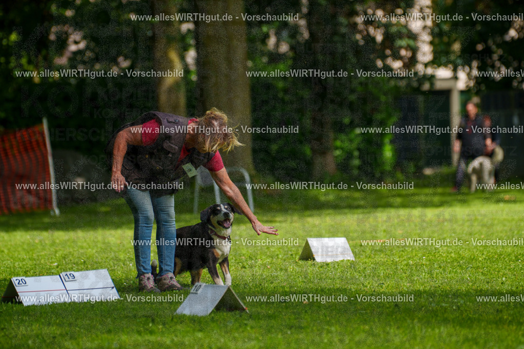 @allesWIRTHgut_Tierfotografie - www.allesWIRTHgut.de - 7R503417 | Professionelle Tierfotografie in Mönchengladbach von Daniel Wirth (allesWIRTHgut). Liebevolle & natürliche Bilder von Hunden & Katzen für unvergessliche Erinnerungen.