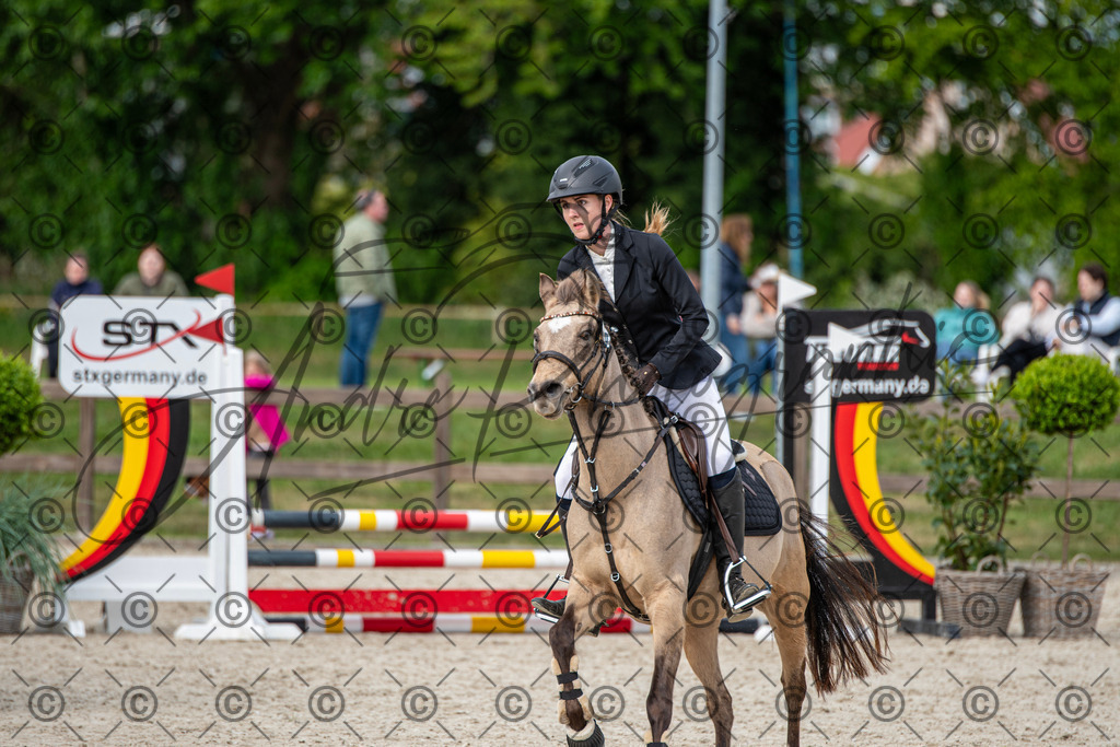 KPT_6668 | andre_photographic