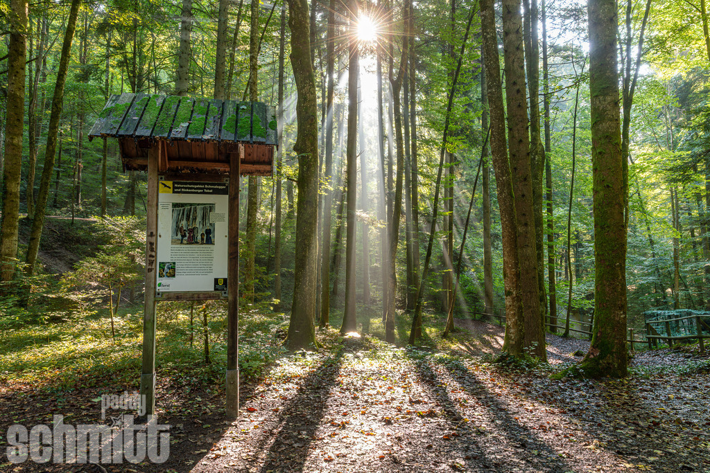 PS-Oberschwaben-2026-20 | Entdecke die größte Bildgalerie der Region mit Fotografien aus dem Allgäu, der Bodenseeregion, Oberschwaben, dem Donautal und der Schwäbischen Alb. Landschaften, Luftaufnahmen und Reisefotografie als Wandbild und Fotokunst. - Realisiert mit Pictrs.com